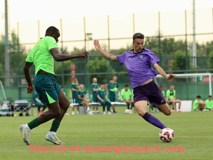 球盟会官网-2025年德甲降级球队名单及相关数据整理